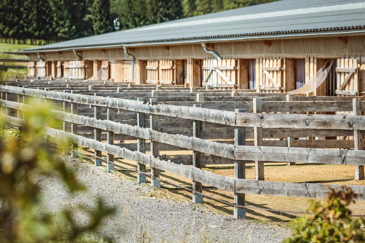 Ranchhouse Smoker- Westernstable - Horse Elterlein Exterior photo