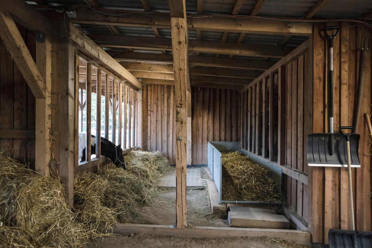 Ranchhouse Smoker- Westernstable - Horse Elterlein Exterior photo